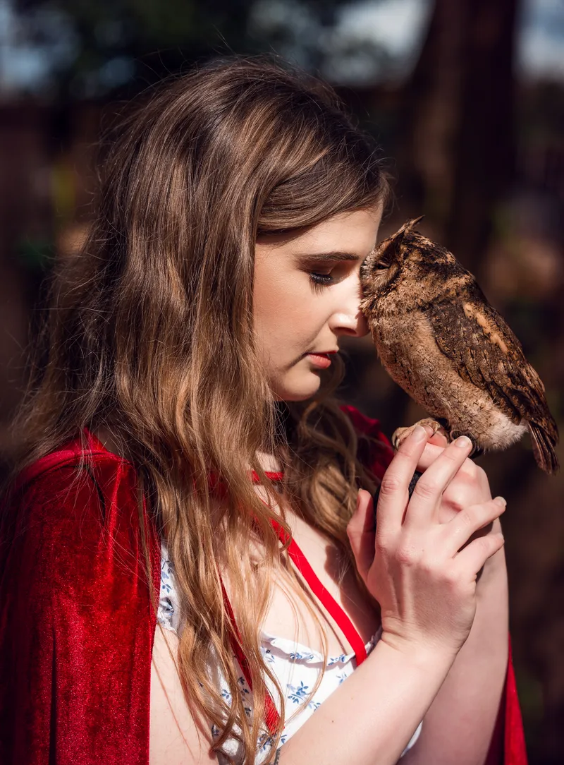 Photoshoot with Charlotte from the Kent Owl Academy, photo 3