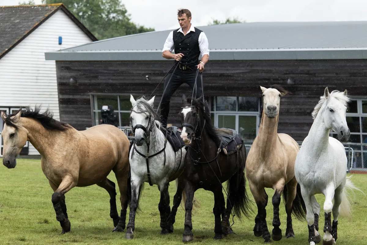 Official photographer for the Kent County Show!, photo 1
