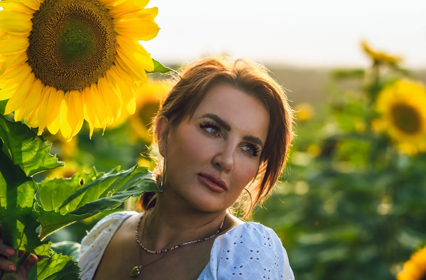 Sunflower photoshoot near Tunbridge Wells, Kent