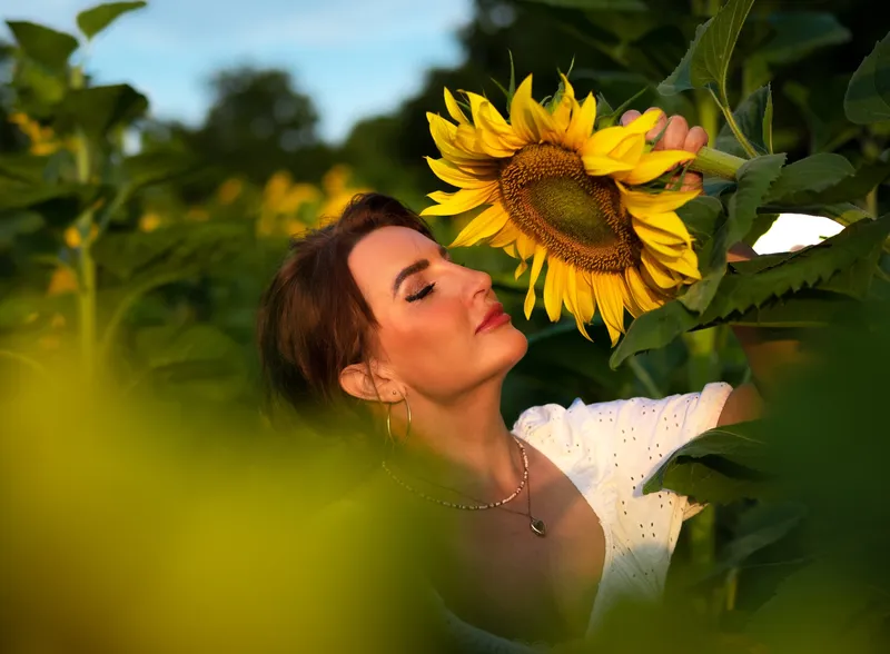 Sunflower photoshoot near Tunbridge Wells, Kent, photo 4