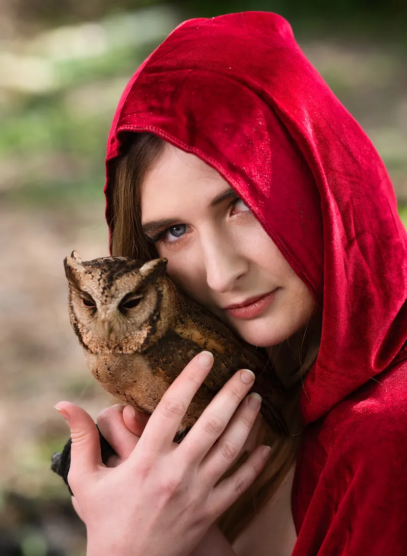 Photoshoot with Charlotte from the Kent Owl Academy, photo 1