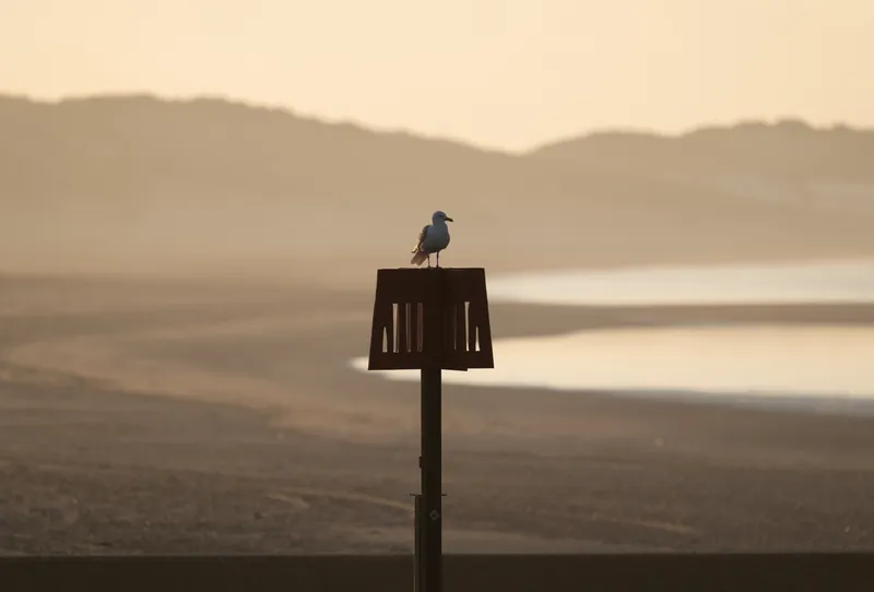 Capturing nature with the Panasonic S5II and Firmware V3, photo 1