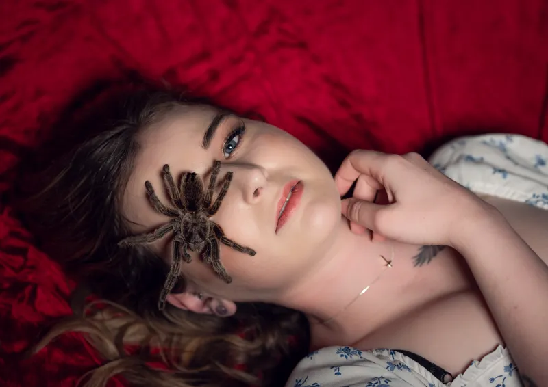 Photoshoot with Charlotte from the Kent Owl Academy, photo 4