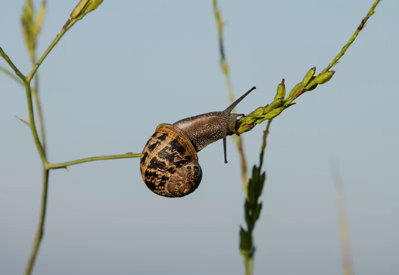 Capturing nature with the Panasonic S5II and Firmware V3, photo 5
